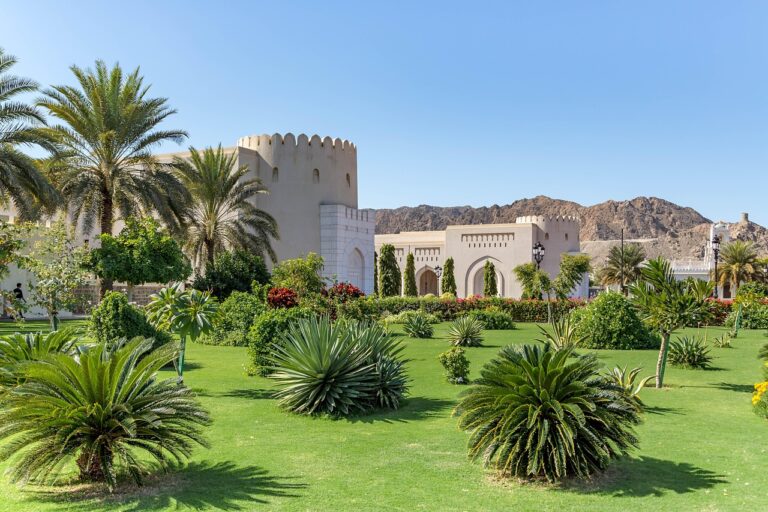 Road trip à Oman en 10 jours : itinéraire entre Mascate, les wadis et le désert
