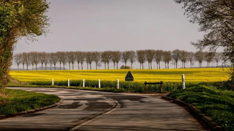 Préparer un road trip printanier dans le Gers